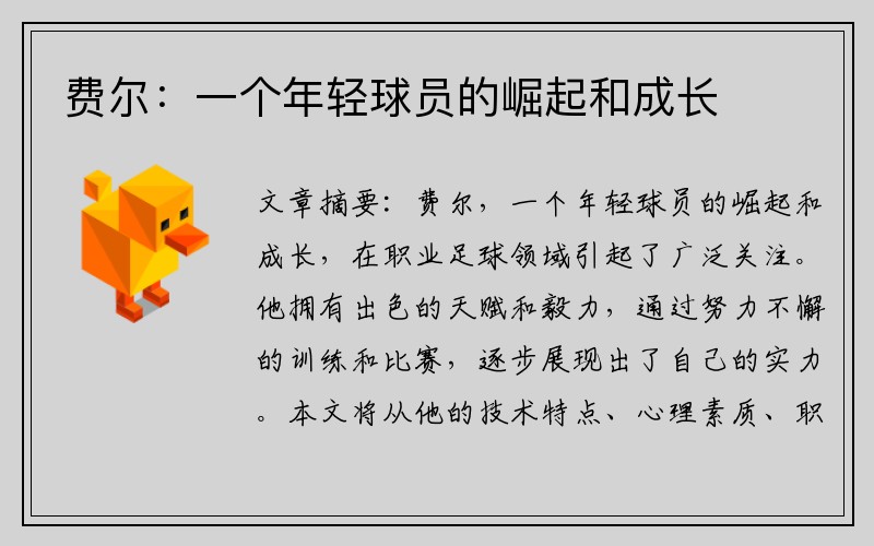 费尔：一个年轻球员的崛起和成长
