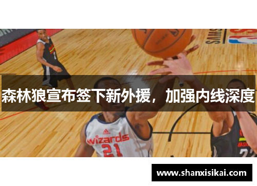 森林狼宣布签下新外援,加强内线深度